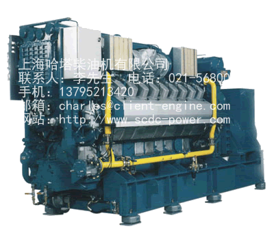 GENSET MADE IN CHINA